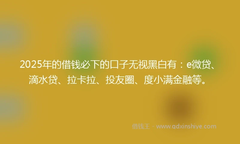 2025年的借钱必下的口子无视黑白有：e微贷、滴水贷、拉卡拉、投友圈、度小满金融等。