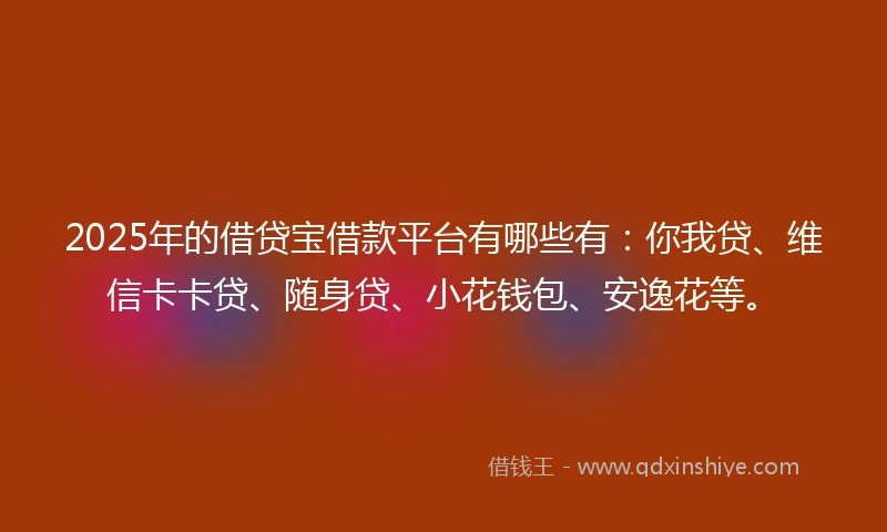 2025年的借贷宝借款平台有哪些有：你我贷、维信卡卡贷、随身贷、小花钱包、安逸花等。