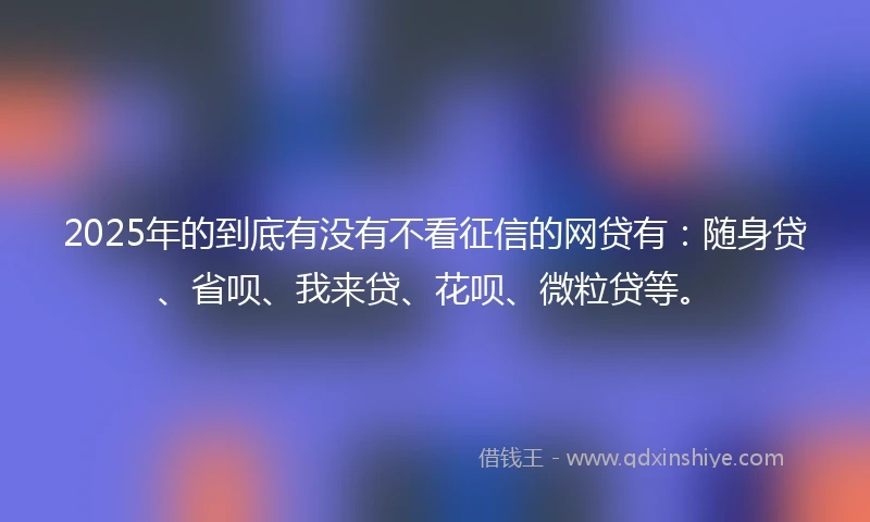 2025年的到底有没有不看征信的网贷有：随身贷、省呗、我来贷、花呗、微粒贷等。