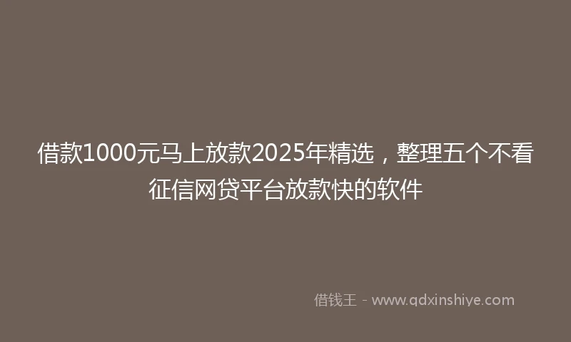 借款1000元马上放款2025年精选，整理五个不看征信网贷平台放款快的软件