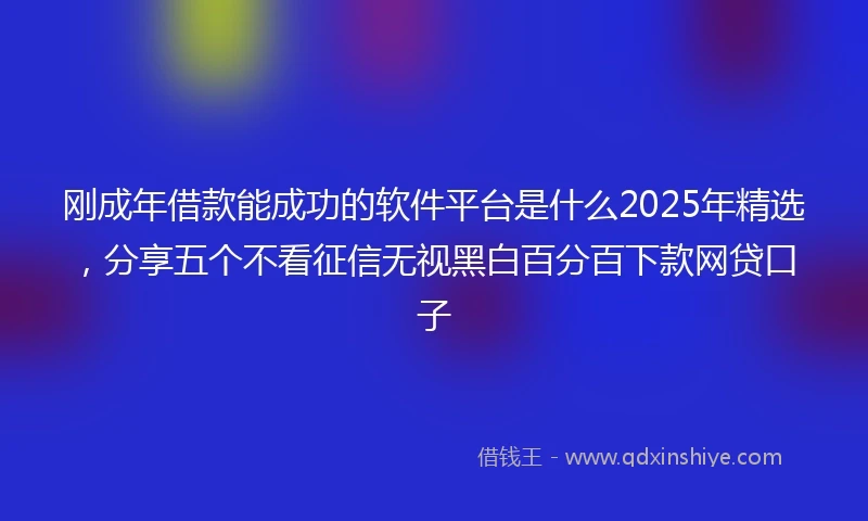 刚成年借款能成功的软件平台是什么2025年精选，分享五个不看征信无视黑白百分百下款网贷口子