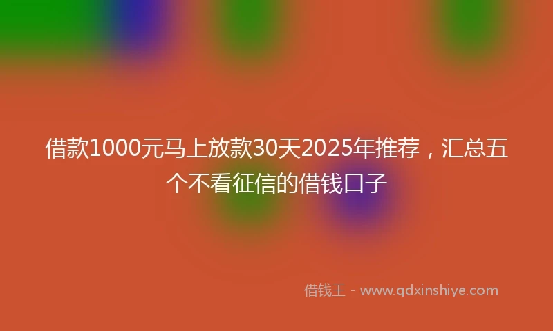 借款1000元马上放款30天2025年推荐，汇总五个不看征信的借钱口子