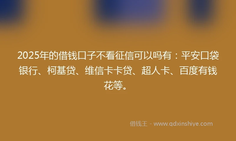 2025年的借钱口子不看征信可以吗有：平安口袋银行、柯基贷、维信卡卡贷、超人卡、百度有钱花等。