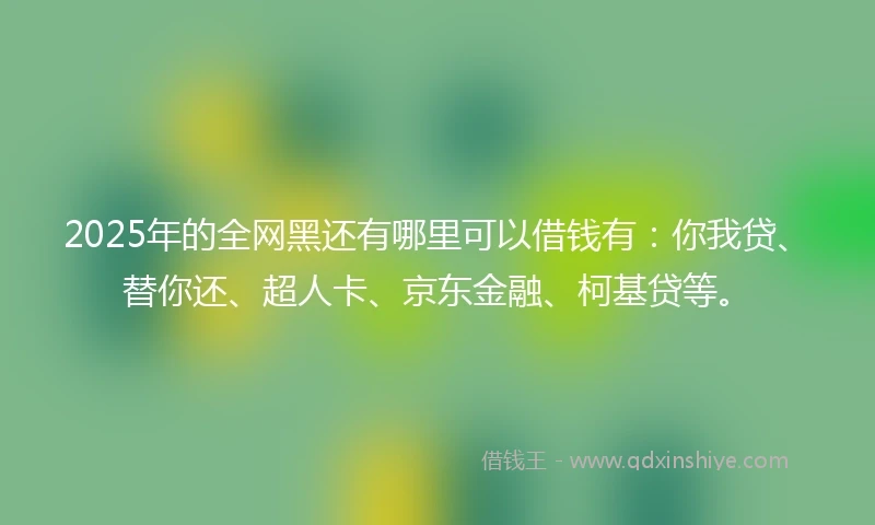 2025年的全网黑还有哪里可以借钱有：你我贷、替你还、超人卡、京东金融、柯基贷等。