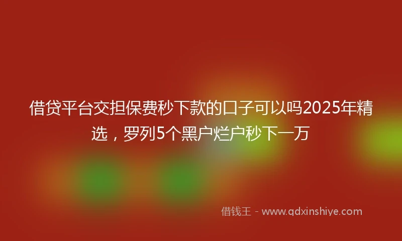 借贷平台交担保费秒下款的口子可以吗2025年精选，罗列5个黑户烂户秒下一万