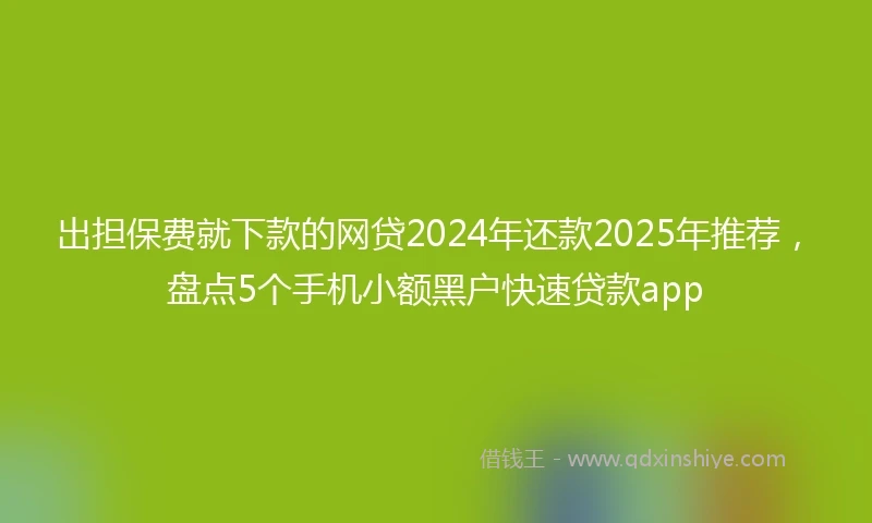 出担保费就下款的网贷2024年还款2025年推荐，盘点5个手机小额黑户快速贷款app
