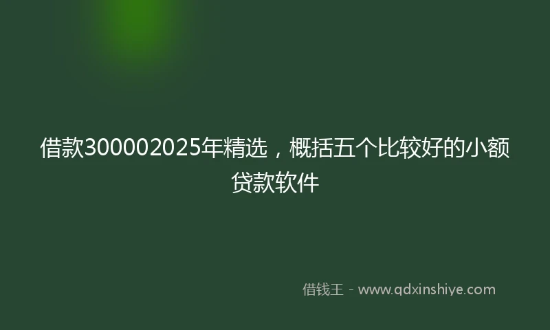借款300002025年精选，概括五个比较好的小额贷款软件