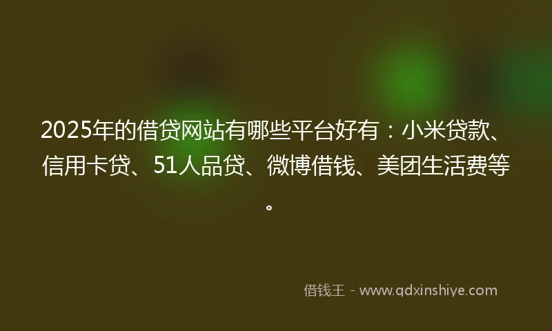 2025年的借贷网站有哪些平台好有：小米贷款、信用卡贷、51人品贷、微博借钱、美团生活费等。