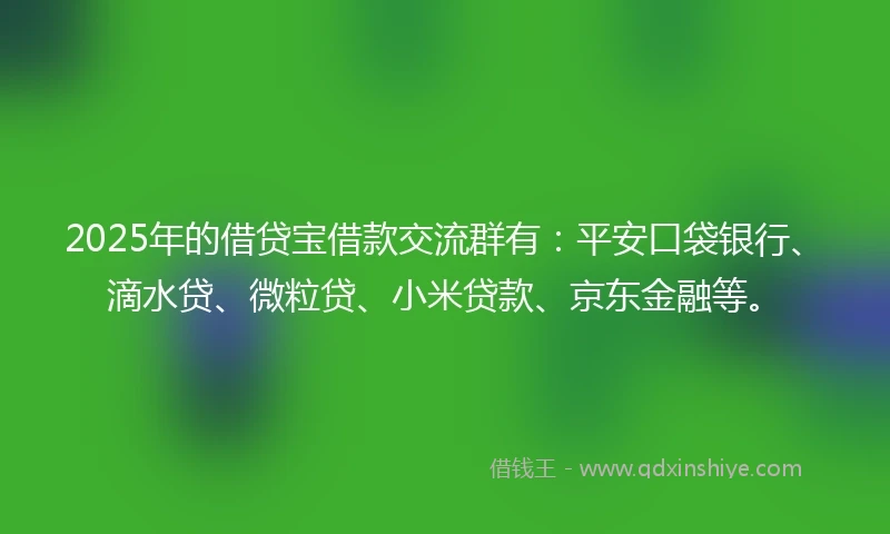 2025年的借贷宝借款交流群有：平安口袋银行、滴水贷、微粒贷、小米贷款、京东金融等。