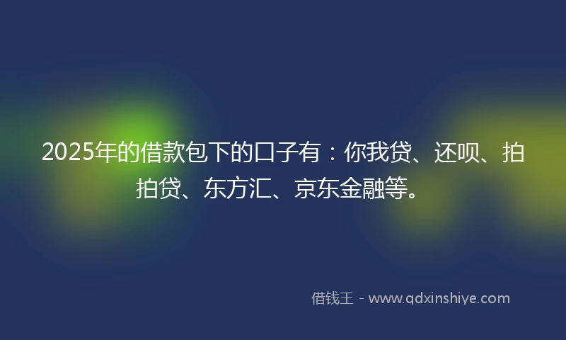 2025年的借款包下的口子有：你我贷、还呗、拍拍贷、东方汇、京东金融等。