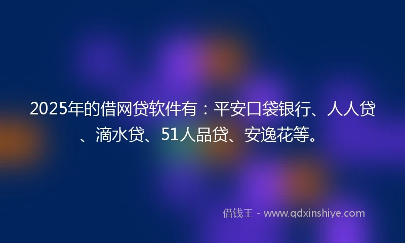 2025年的借网贷软件有：平安口袋银行、人人贷、滴水贷、51人品贷、安逸花等。