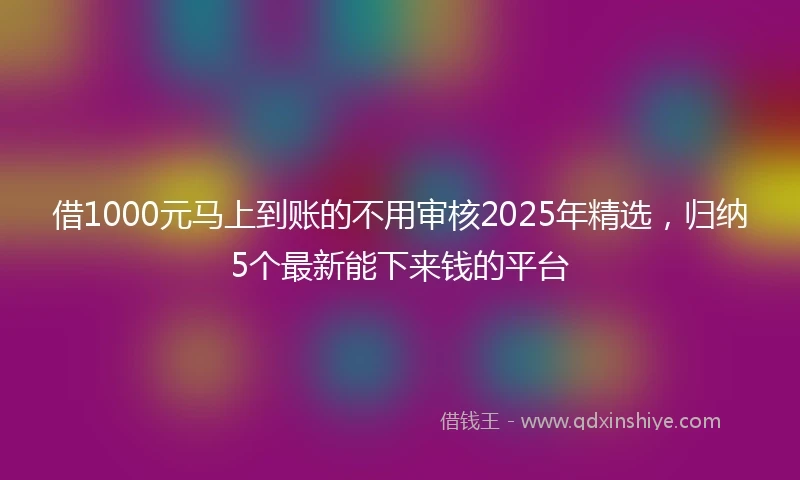 借1000元马上到账的不用审核2025年精选,归纳5个最新能下来钱的平台