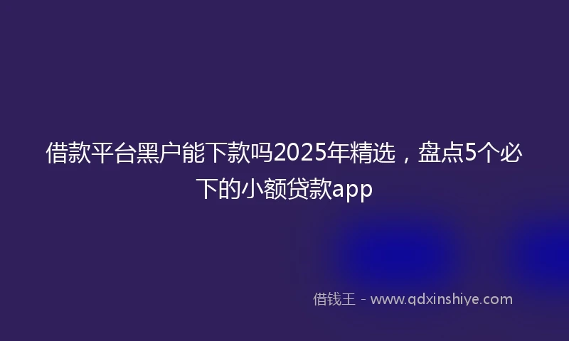 借款平台黑户能下款吗2025年精选，盘点5个必下的小额贷款app