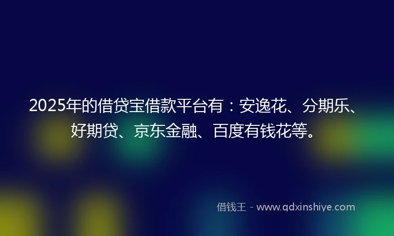 2025年的借贷宝借款平台有：安逸花、分期乐、好期贷、京东金融、百度有钱花等。