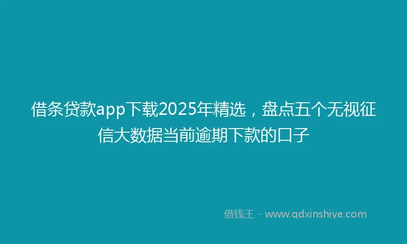 借条贷款app下载2025年精选，盘点五个无视征信大数据当前逾期下款的口子