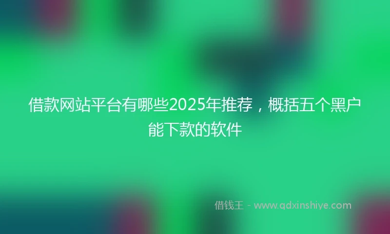 借款网站平台有哪些2025年推荐，概括五个黑户能下款的软件