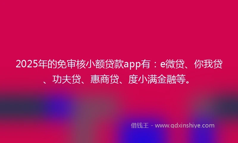 2025年的免审核小额贷款app有：e微贷、你我贷、功夫贷、惠商贷、度小满金融等。