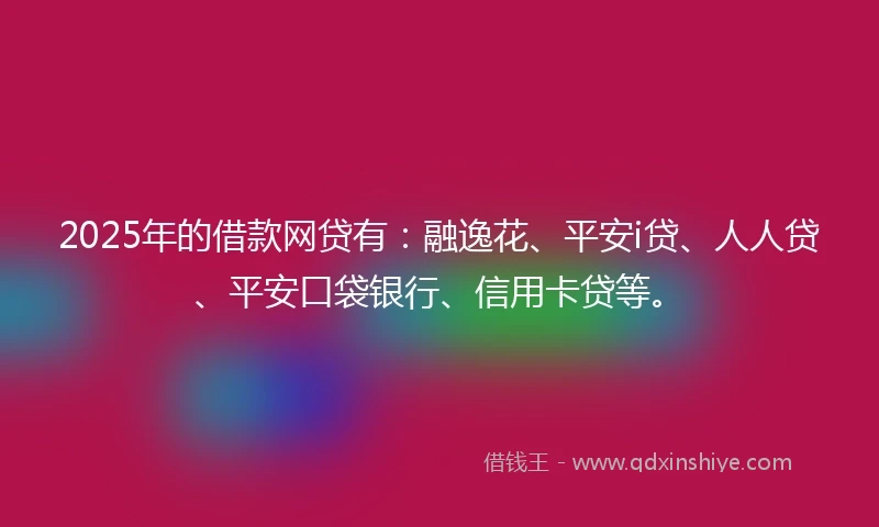 2025年的借款网贷有：融逸花、平安i贷、人人贷、平安口袋银行、信用卡贷等。