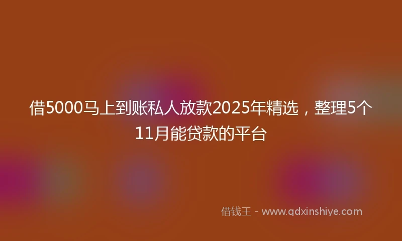 借5000马上到账私人放款2025年精选，整理5个11月能贷款的平台