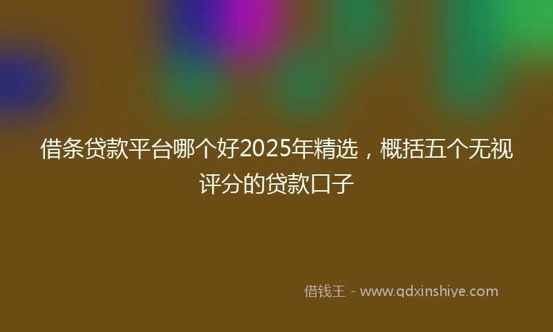 借条贷款平台哪个好2025年精选，概括五个无视评分的贷款口子