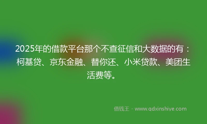 2025年的借款平台那个不查征信和大数据的有：柯基贷、京东金融、替你还、小米贷款、美团生活费等。