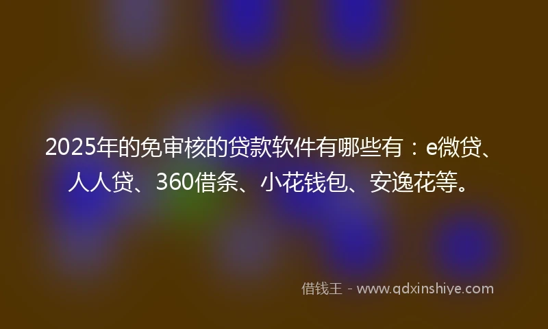 2025年的免审核的贷款软件有哪些有：e微贷、人人贷、360借条、小花钱包、安逸花等。