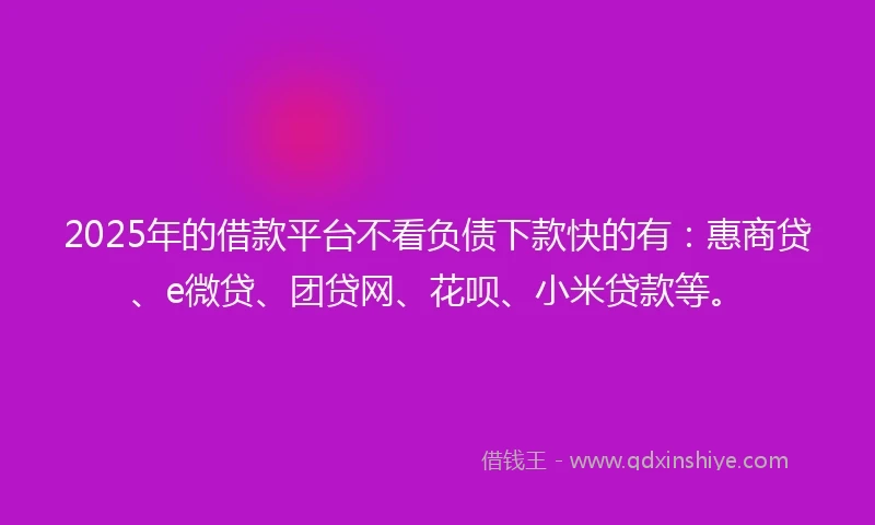 2025年的借款平台不看负债下款快的有：惠商贷、e微贷、团贷网、花呗、小米贷款等。