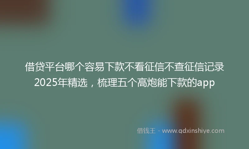借贷平台哪个容易下款不看征信不查征信记录2025年精选，梳理五个高炮能下款的app