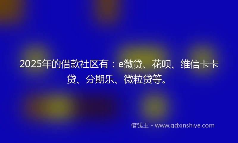 2025年的借款社区有：e微贷、花呗、维信卡卡贷、分期乐、微粒贷等。