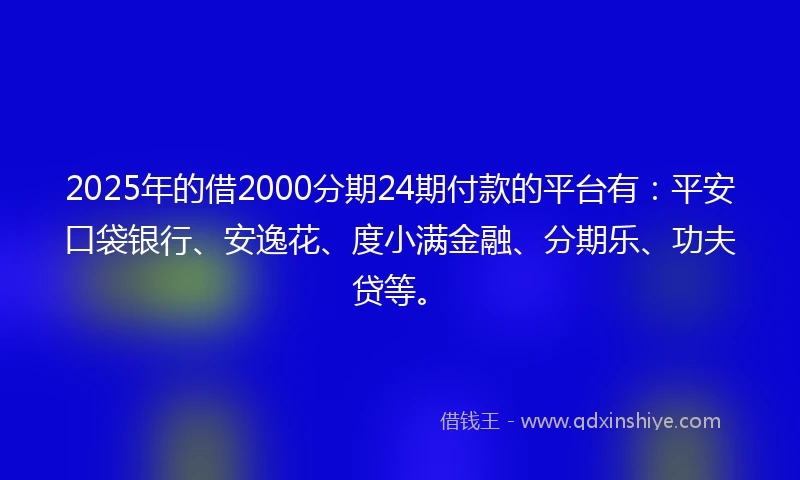 2025年的借2000分期24期付款的平台有：平安口袋银行、安逸花、度小满金融、分期乐、功夫贷等。