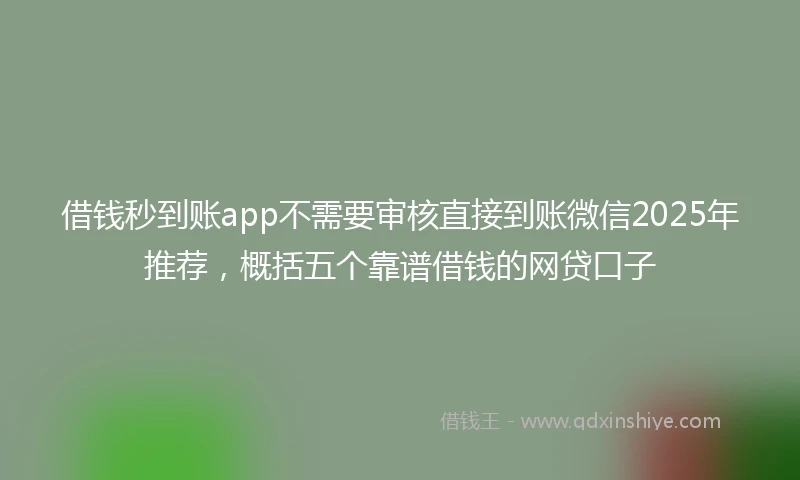 借钱秒到账app不需要审核直接到账微信2025年推荐，概括五个靠谱借钱的网贷口子