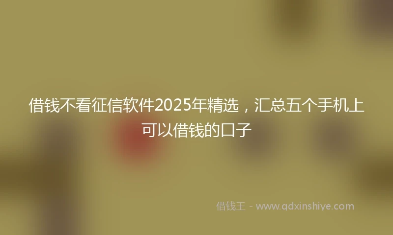借钱不看征信软件2025年精选，汇总五个手机上可以借钱的口子