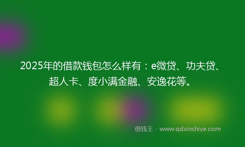 2025年的借款钱包怎么样有：e微贷、功夫贷、超人卡、度小满金融、安逸花等。