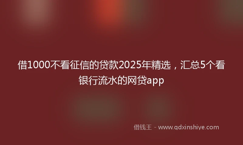 借1000不看征信的贷款2025年精选，汇总5个看银行流水的网贷app