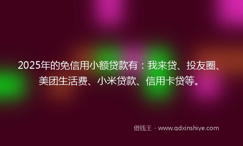 2025年的免信用小额贷款有：我来贷、投友圈、美团生活费、小米贷款、信用卡贷等。