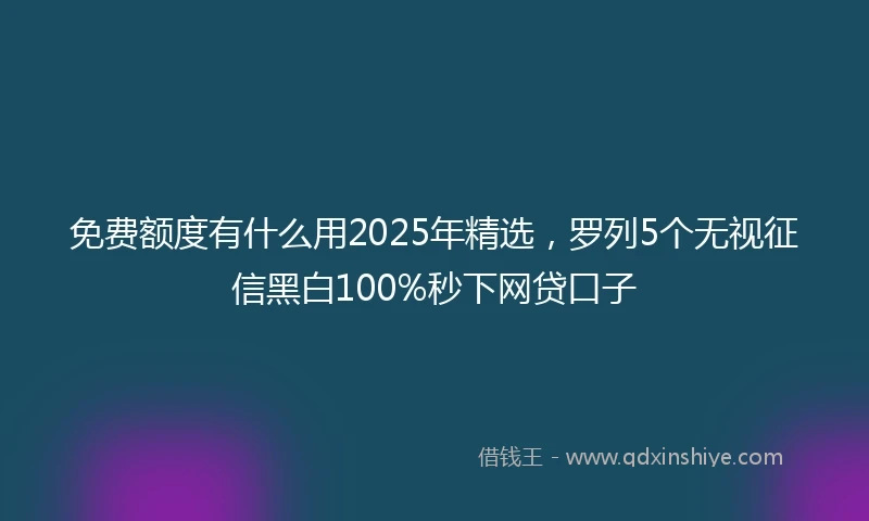 免费额度有什么用2025年精选，罗列5个无视征信黑白100%秒下网贷口子