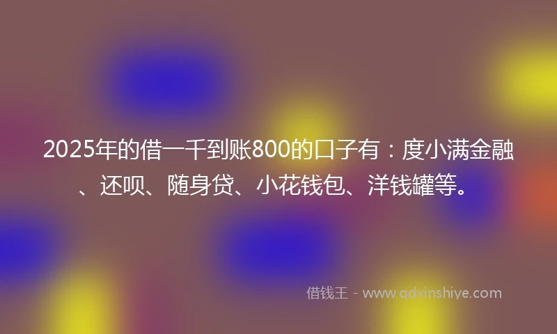 2025年的借一千到账800的口子有：度小满金融、还呗、随身贷、小花钱包、洋钱罐等。