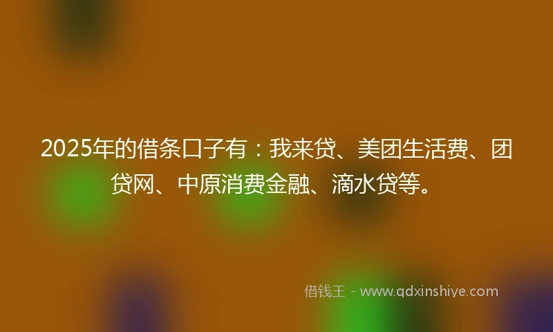 2025年的借条口子有：我来贷、美团生活费、团贷网、中原消费金融、滴水贷等。