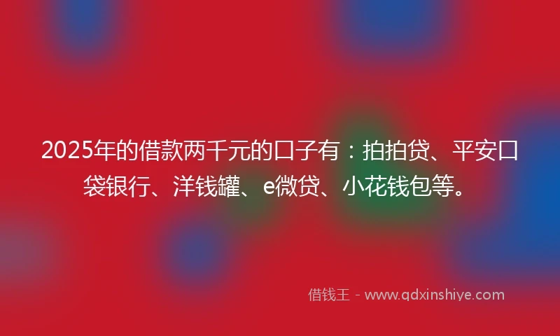 2025年的借款两千元的口子有：拍拍贷、平安口袋银行、洋钱罐、e微贷、小花钱包等。
