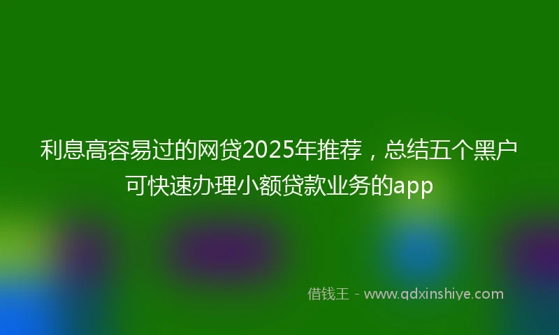 利息高容易过的网贷2025年推荐,总结五个黑户可快速办理小额贷款业务的app
