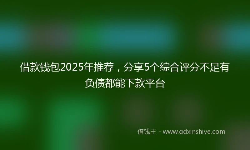 借款钱包2025年推荐，分享5个综合评分不足有负债都能下款平台