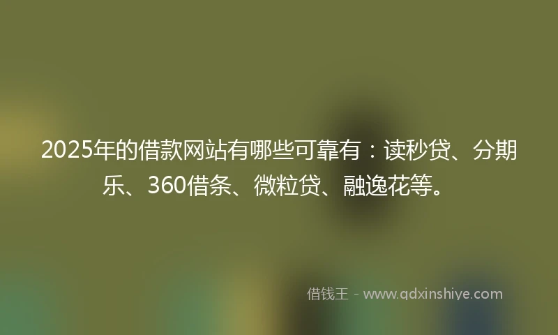 2025年的借款网站有哪些可靠有：读秒贷、分期乐、360借条、微粒贷、融逸花等。
