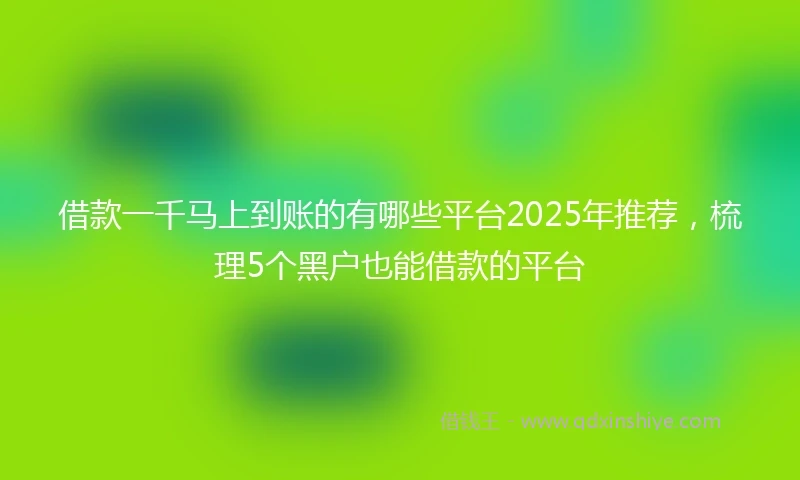 借款一千马上到账的有哪些平台2025年推荐，梳理5个黑户也能借款的平台