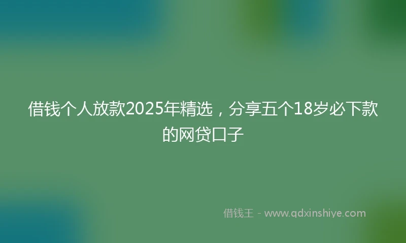 借钱个人放款2025年精选，分享五个18岁必下款的网贷口子