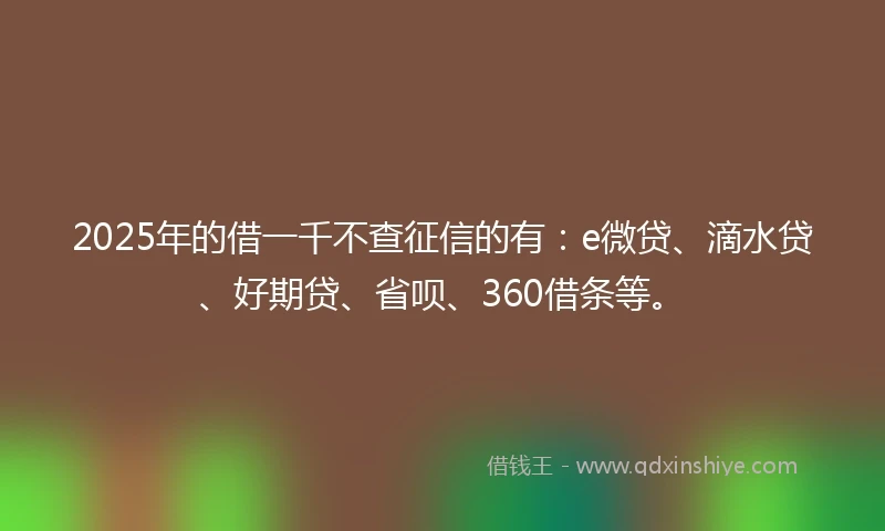2025年的借一千不查征信的有：e微贷、滴水贷、好期贷、省呗、360借条等。
