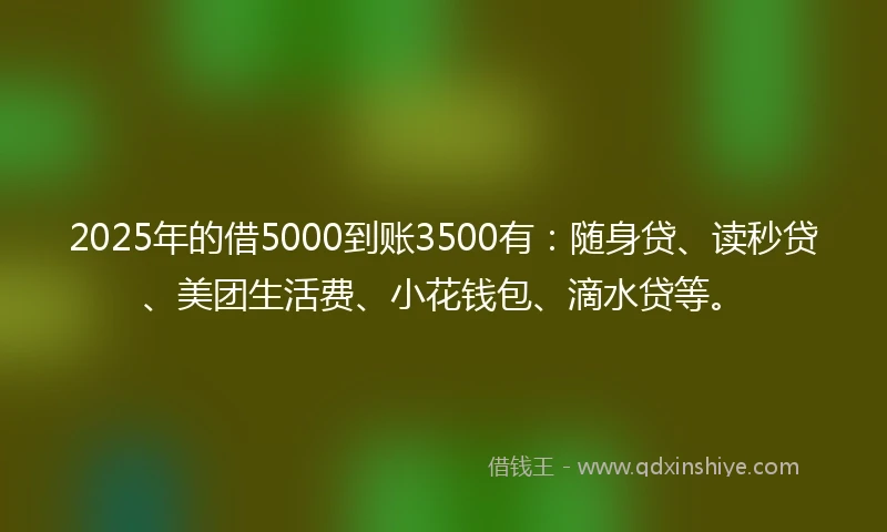2025年的借5000到账3500有：随身贷、读秒贷、美团生活费、小花钱包、滴水贷等。