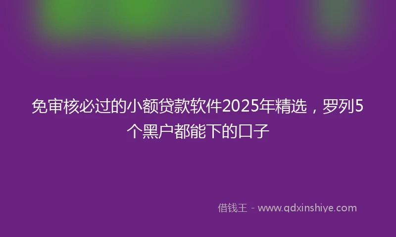 免审核必过的小额贷款软件2025年精选，罗列5个黑户都能下的口子