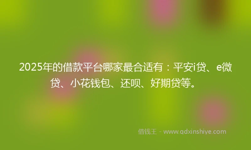 2025年的借款平台哪家最合适有：平安i贷、e微贷、小花钱包、还呗、好期贷等。