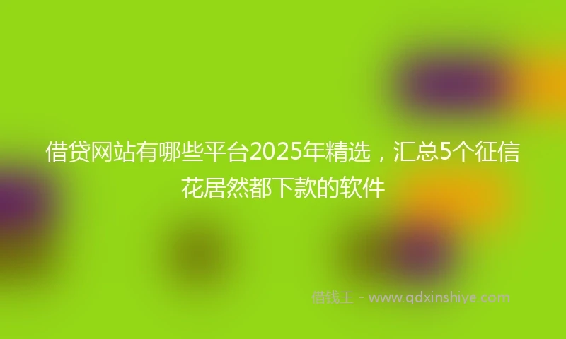 借贷网站有哪些平台2025年精选，汇总5个征信花居然都下款的软件