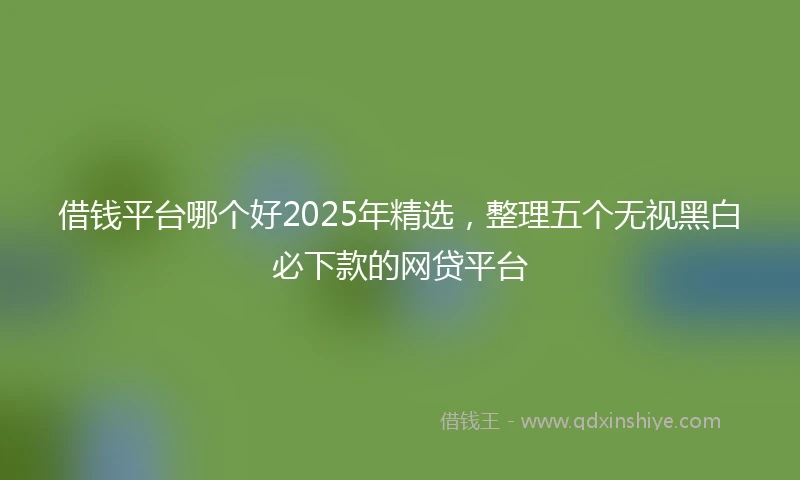 借钱平台哪个好2025年精选，整理五个无视黑白必下款的网贷平台